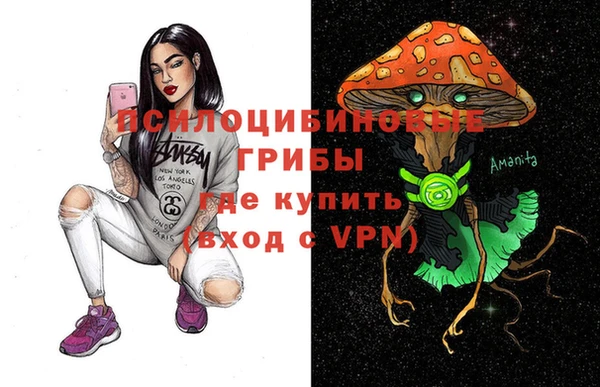 ГАЛЛЮЦИНОГЕННЫЕ ГРИБЫ Ростов