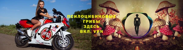 jwh Алзамай