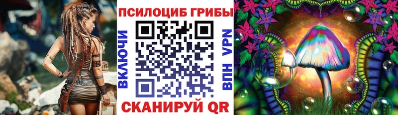 купить наркоту  Вытегра  Галлюциногенные грибы Psilocybe 